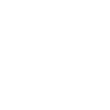 公式X